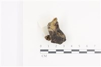 登錄號:F0036144藏品圖，第1張