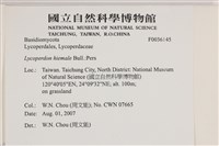 登錄號:F0036145藏品圖，第2張