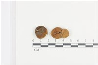 登錄號:F0036145藏品圖，第1張