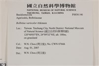 登錄號:F0036146藏品圖，第2張