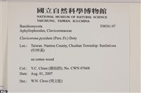 登錄號:F0036147藏品圖，第2張