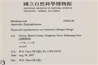 登錄號:F0036148藏品圖，第2張