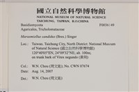 登錄號:F0036149藏品圖，第2張