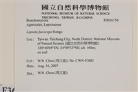 登錄號:F0036150藏品圖，第2張