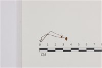 登錄號:F0036151藏品圖，第1張