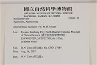登錄號:F0036152藏品圖，第2張
