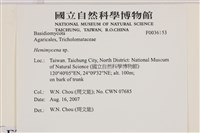 登錄號:F0036153藏品圖，第2張