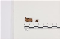 登錄號:F0036153藏品圖，第1張