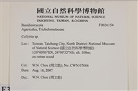 登錄號:F0036154藏品圖，第2張