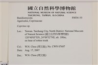 鬼傘屬藏品圖，第2張