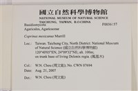 登錄號:F0036157藏品圖，第2張