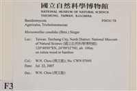 登錄號:F0036158藏品圖，第2張