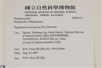 登錄號:F0036161藏品圖，第2張