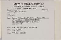 登錄號:F0036162藏品圖，第2張