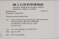 登錄號:F0036164藏品圖，第2張