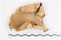 登錄號:F0036164藏品圖，第1張