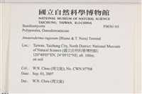 登錄號:F0036165藏品圖，第2張
