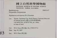登錄號:F0036167藏品圖，第2張