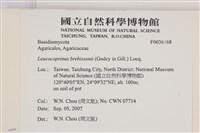 登錄號:F0036168藏品圖，第2張