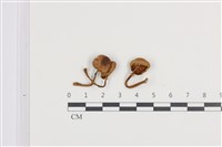 登錄號:F0036168藏品圖，第1張