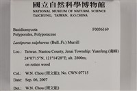 登錄號:F0036169藏品圖，第2張