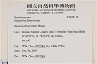 登錄號:F0036170藏品圖，第2張