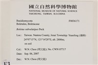 登錄號:F0036171藏品圖，第2張