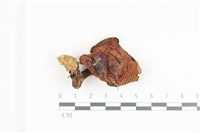 登錄號:F0036171藏品圖，第1張