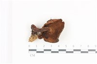 登錄號:F0036171藏品圖，第3張