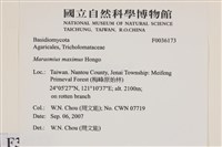 登錄號:F0036173藏品圖，第2張