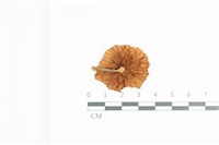 登錄號:F0036173藏品圖，第3張