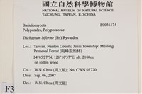 登錄號:F0036174藏品圖，第2張