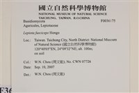 登錄號:F0036175藏品圖，第2張