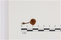 登錄號:F0036175藏品圖，第3張