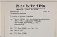 登錄號:F0036176藏品圖，第2張