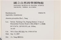 登錄號:F0036178藏品圖，第2張