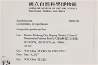 登錄號:F0036181藏品圖，第2張