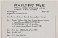 登錄號:F0036183藏品圖，第2張