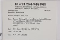 登錄號:F0036184藏品圖，第2張