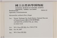 登錄號:F0036185藏品圖，第2張