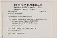 登錄號:F0036186藏品圖，第2張