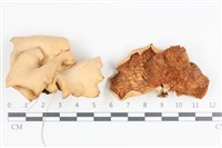 登錄號:F0036187藏品圖，第1張