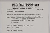 登錄號:F0036188藏品圖，第2張