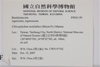 登錄號:F0036189藏品圖，第2張