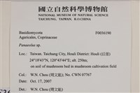 登錄號:F0036190藏品圖，第2張