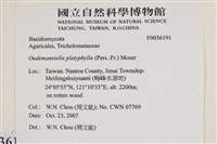 登錄號:F0036191藏品圖，第2張
