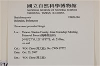 登錄號:F0036194藏品圖，第2張