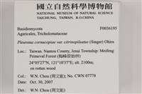 登錄號:F0036195藏品圖，第2張