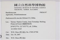 登錄號:F0036197藏品圖，第2張