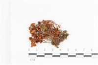 登錄號:F0036199藏品圖，第1張